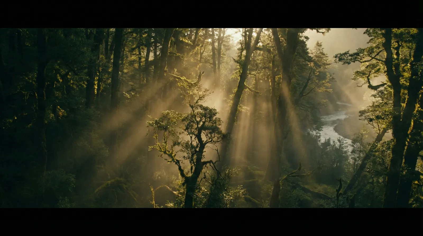 小宵虎南 自然纪录片风格调色案例